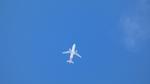 G-EZDD - easyJet - by Eddyag