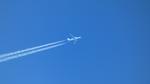 PH-BCK - KLM - by Eddyag