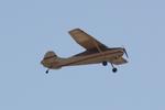 N1337D @ KSRQ - N1337D departs Runway 14 at Sarasota-Bradenton International Airport - by Suncoast Spotter
