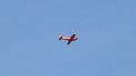 N260DX @ KPDK - SF.260C - by AviationLover50