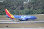 N442WN @ KTPA - Southwest Flight 3847 arrives on Runway 1L at Tampa International Airport following flight from Raleigh-Durham International Airport  - by Suncoast Spotter