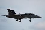 165887 @ KRSW - Roman 31 from Strike Fighter Squadron 106 at Naval Air Station Oceana works in the pattern at Southwest Florida International Airport  - by Suncoast Spotter