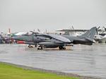 ZG477 @ EGDR - ZG477 1990 BAe Harrier GR9 RAF RNAS Culdrose  - by PhilR