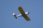 N3805H @ X36 - Ercoupe flies from Buchan Field - by Suncoast Spotter