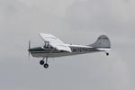 N170TW @ KSRQ - Cessna 170 flies over Sarasota-Bradenton International Airport - by Suncoast Spotter