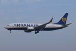 EI-IKA @ EGSH - Landing at Norwich. - by Graham Reeve