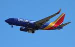 N250WN @ KTPA - SWA 737 zx dal-tpa - by FloridaMetal