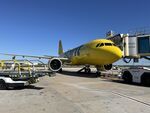 N964NK @ KRSW - Spirit Airbus A320neo at the gate at RSW - by Suncoast Spotter