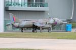 XZ133 @ EGSU - XZ133 1976 HS Harrier GR3 Duxford - by PhilR