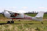 G-FOXO photo, click to enlarge G-FOXO photo, click to enlarge