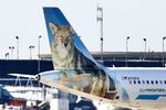 N715FR @ KORD - A321 FRONTIER AIRBUS A321-211 N715FR CACTUS THE COYOTE, FFT1515 ARRIVING AT KORD - by Mark Kalfas