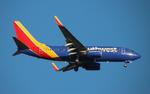 N401WN @ KMCO - SWA 737 zx pvd-mco - by FloridaMetal