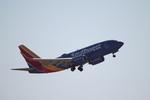 N448WN @ KTPA - N448WN
Boeing 737-7H4
Southwest Airlines
Tampa International Airport
Tampa, Florida
March 17, 2025

Southwest Flight 1545 performs a go around on landing at Tampa International Airport

 - by Suncoast Spotter