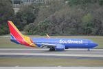 N8541W @ KTPA - Southwest Flight 2610 arrives at Tampa International Airport following flight from Austin-Bergstrom International Airport