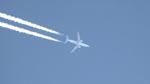 OO-TUK @ KPDK - TUI 738, operated by GlobalX - by AviationLover50