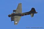 G-BEDF @ EGSU - Duxford Flying Legends 2017 - by Chris Hall