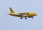 N528NK @ KFLL - NKS A319 zx ewr-fll - by FloridaMetal