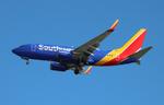 N558WN @ KTPA - SWA 737 zx dca-tpa - by FloridaMetal