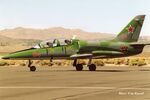 N239BB @ RTS - N239BB race#84 at Reno Air Races 2004, pilot was Rick Vandam. - by Marc Van Ryssel