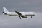 YR-LIA @ LOWW - FlyLili A320 - by Andy Graf