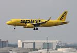 N628NK @ KFLL - NKS A320 zx ewr-fll - by FloridaMetal