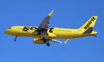 N623NK @ KTPA - NKS A320 zx iah-tpa - by FloridaMetal