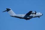 ZM412 @ EGSH - In the circuit at Norwich. - by Graham Reeve