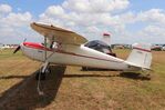 N1751V @ KLAL - Cessna 120 - by Mark Pasqualino