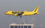 N651NK @ KLAX - NKS A320 zx sea-lax - by FloridaMetal