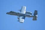 79-0169 @ KLSV - BOAR42 
422nd TES - by Topgunphotography