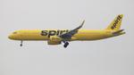N678NK @ KLAX - NKS A321 zx dtw-lax - by FloridaMetal
