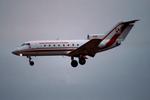 045 @ LOWW - Polish Goverment Y40 - by Andy Graf