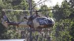 N916D @ KLAL - Gazelle - by AviationLover50
