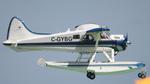 C-GYBG @ KLAL - DHC-2 - by AviationLover50