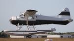 N913AP @ KLAL - DHC-2 - by AviationLover50
