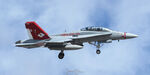 164659 photo, click to enlarge