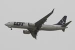 SP-LVQ @ LMML - Boeing 737-8 MAX reg SP-LVQ of LOT Polish Airlines on approach for RW13 in Malta on a very dull day. - by raymond