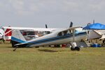 N1817B @ KLAL - Luscombe 8F - by Mark Pasqualino