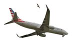 N909NN photo, click to enlarge