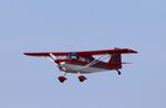 N757AC @ KCGC - American Champion 8KCAB - by Mark Pasqualino