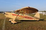 N5808H @ KLAL - Piper PA-16 - by Mark Pasqualino