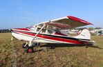 N9989A @ KLAL - Cessna 170A - by Mark Pasqualino