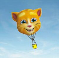 OO-BYG @ 123 - So much ginger cat - by Ginger cat