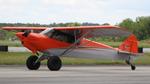 N976CC @ KPDK - Carbon Cub FX-3 - by AviationLover50