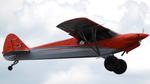 N976CC @ KPDK - Carbon Cub FX-3 - by AviationLover50