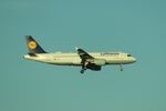 D-AIZJ @ LSZH - Airbus A320-214