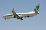 F-HTVG @ LMML - Boeing 737-800 reg F-HTVG of Transavia France landing in Malta. - by raymond