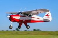 N3002Z @ GLE - Landing at Gainesville, Texas. - by Unknown