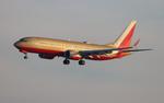 N871HK @ KLAX - SWA 737-8 gold retro zx las-lax - by FloridaMetal