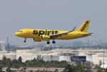N902NK @ KFLL - NKS A32N zx bos-fll - by FloridaMetal